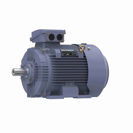 Marathon 30.0 Kw General Purpose Low Voltage Iec Motor, 3 Phase, 3600 Rpm, R445 R445